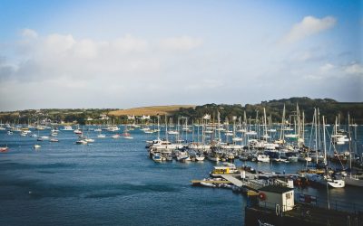 Providing business IT support for A&P, Falmouth