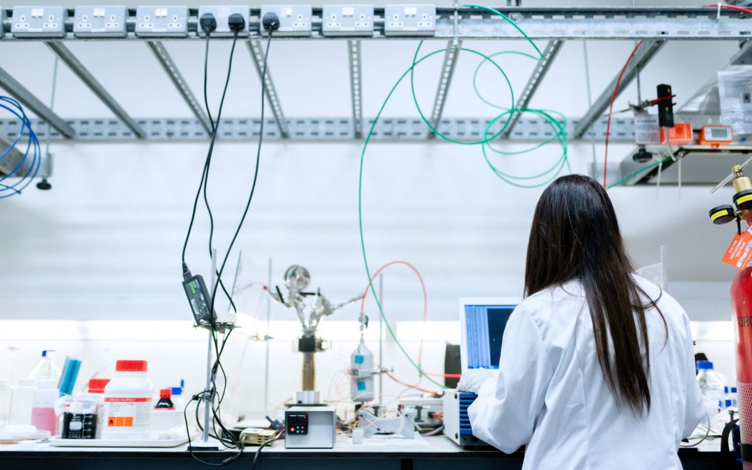 Consultancy services provided for global company